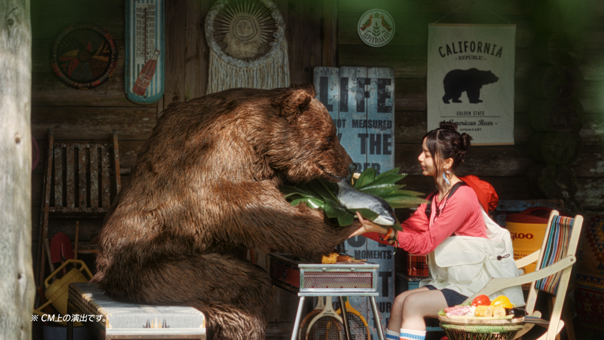 Brown Bear Suit Rental for TV & Web Ads of Nationwide Major Local