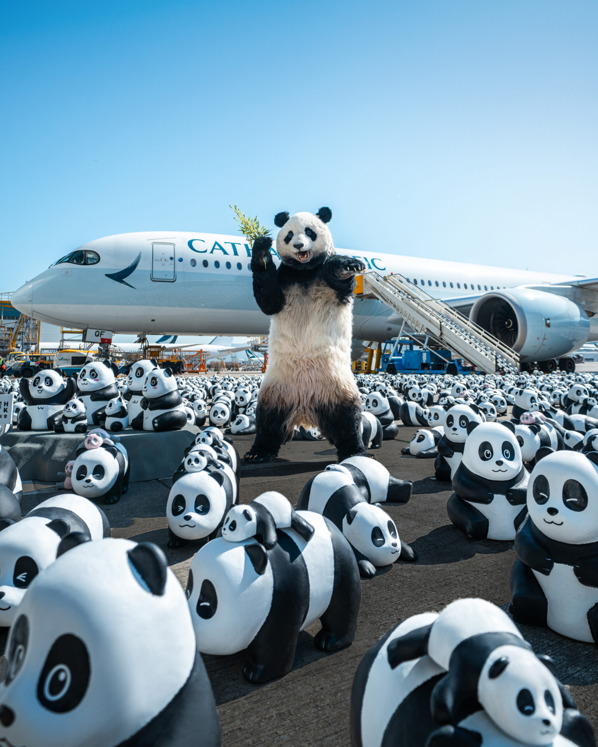 Pandas travel all over Hong Kong! Pandas made by special modeling